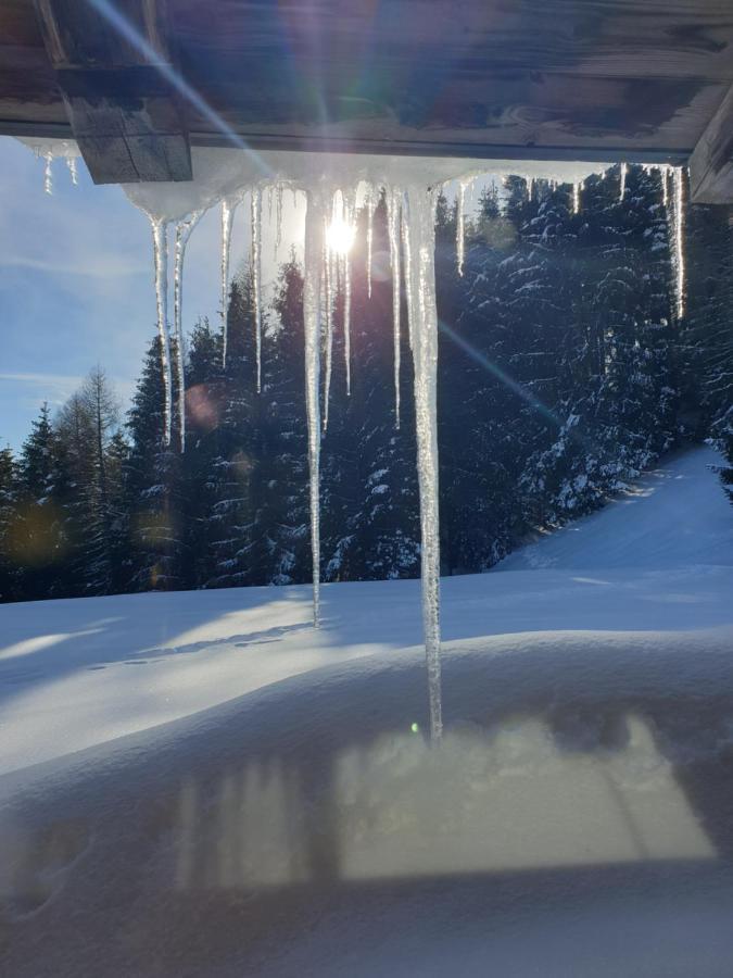 Chalet Chapeau Rar Castel Condino エクステリア 写真