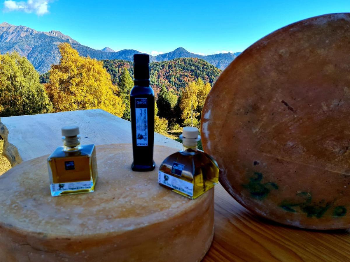 Chalet Chapeau Rar Castel Condino エクステリア 写真
