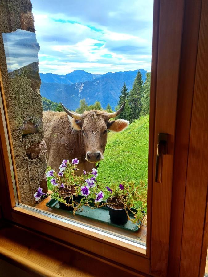 Chalet Chapeau Rar Castel Condino エクステリア 写真