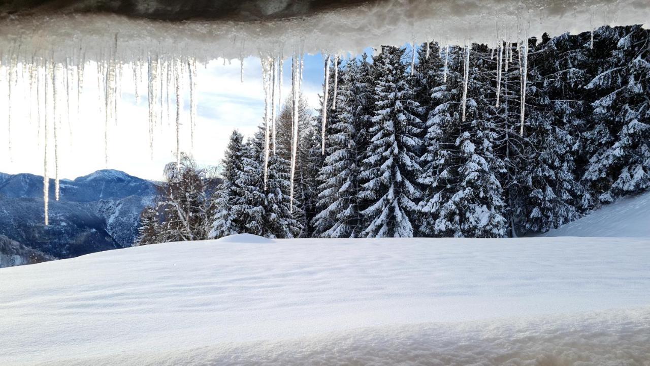 Chalet Chapeau Rar Castel Condino エクステリア 写真