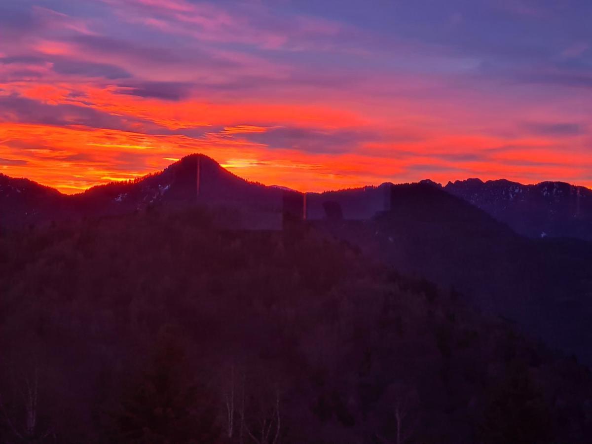 Chalet Chapeau Rar Castel Condino エクステリア 写真