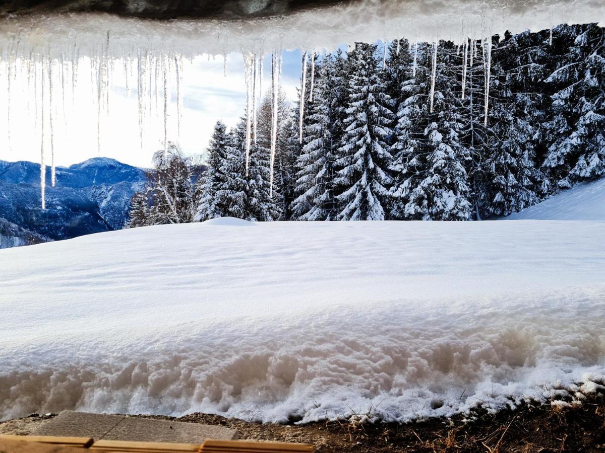 Chalet Chapeau Rar Castel Condino エクステリア 写真