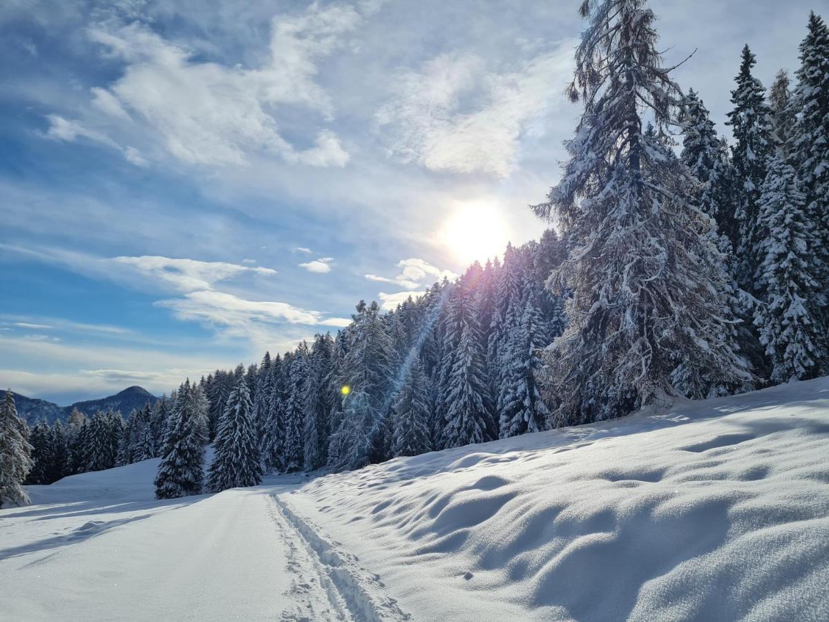 Chalet Chapeau Rar Castel Condino エクステリア 写真